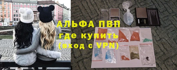 стафф Абинск