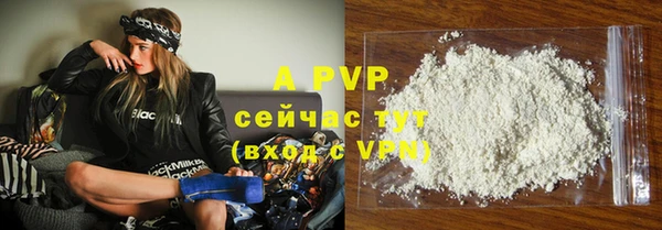 стафф Абинск