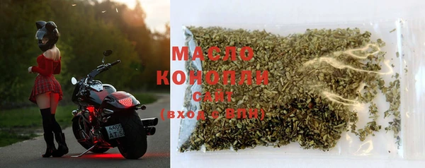 тгк Абаза